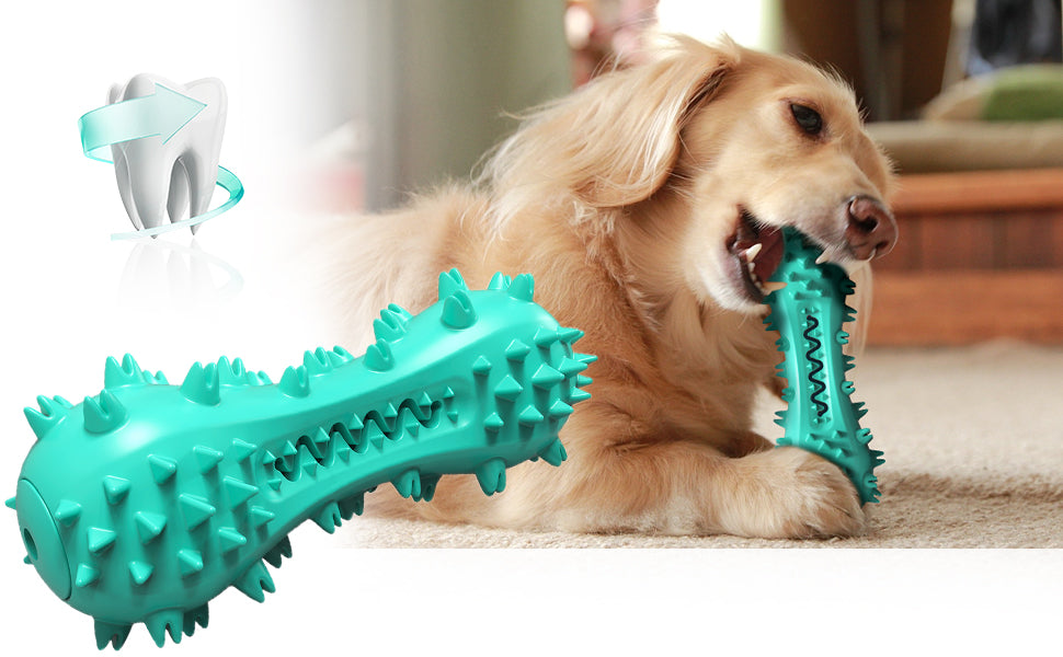 Tough Dental Chew Toy
