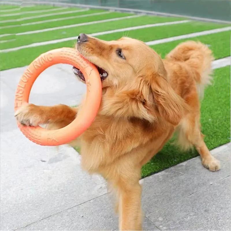 Chew Ring
