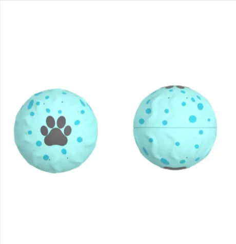 Premium Interactive Ball